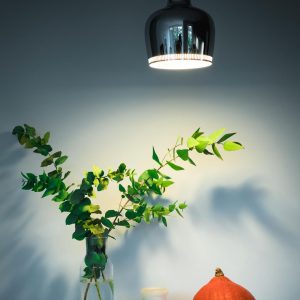 Lampe XY